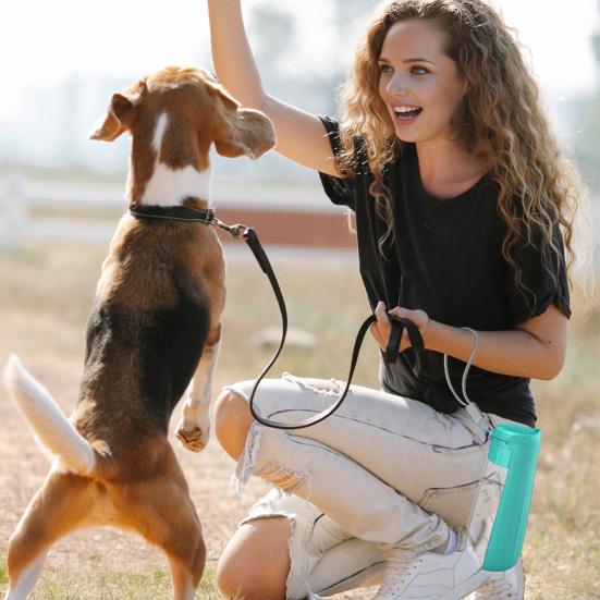 550ml Faltbare Hunde-Wasserflasche Tragbarer Outdoor-Haustier-Wasserspender für Katze Welpe Spaziergänge Wandern Reisen