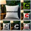 Pillow Case Natural Linen Pillow Case DoubleSided Decor Sofa Pillowcase Home Decor Luxury CCCannondalesS