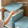 Xitianlong Lidded Storage Box
