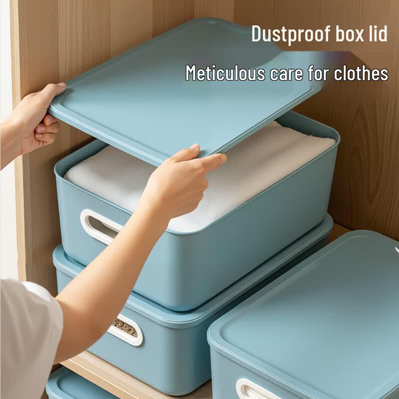 Xitianlong Lidded Storage Box