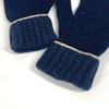 Loewe Anagram Logo Gloves Leather Tag Leather Tag Gloves Wool Navy