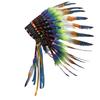 Feather Headdress Fashion Head Accessory Home Decors Photography Props Lightweight Headwear for Themed Parties Stage