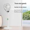 Low-Noise Floor Electric Fan with Adjustable Head and Timer for Bedroom & Dormitory