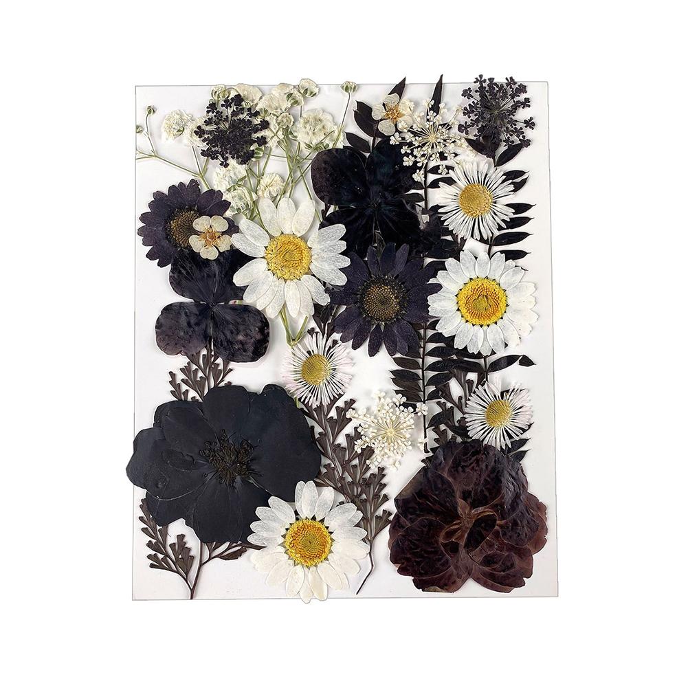 1 Pack Dried Flowers Decoration Embossing Flowers Handmade Flower Material Natural Dry Flowers Candle For Making Crafts Nail Art Decoration