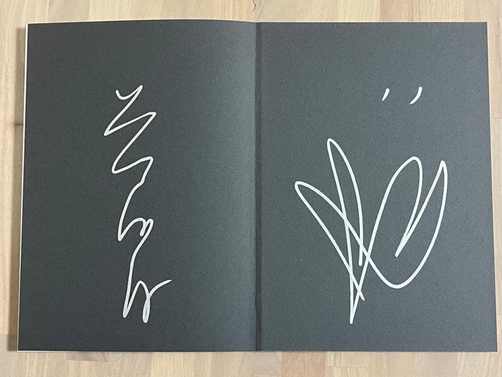 [USED] A Dangerous Afternoon by Shinro Ohtake