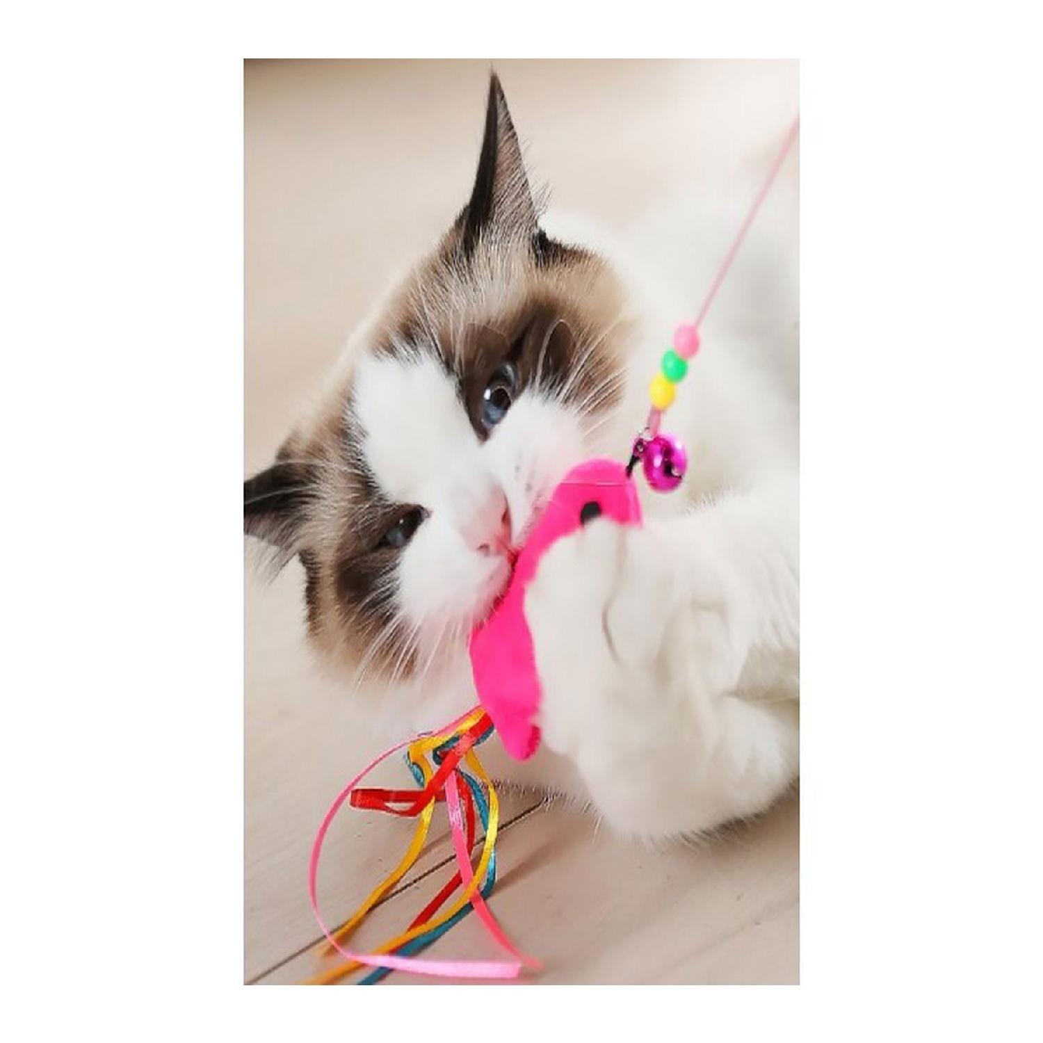 

Удочка Fish Cat 90 см