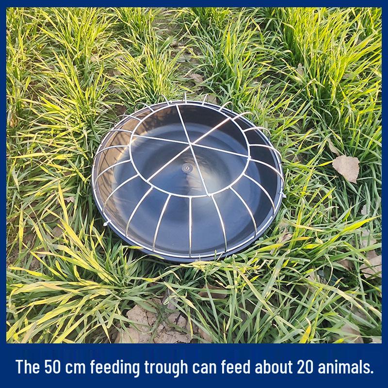 Automatic Free-Range Chicken, Duck, and Goose Feeder - Spill-Proof, Durable, and Carefully Designed