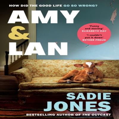Amy and Lan by Sadie Jones Paperback Book 9781529116175