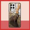 Animal Funny Capybara Case For Samsung Galaxy M11 M31 M14 M34 M54 M12 M32 M52 M15 M13 M06 M16 M36 M56 M53 M35 M55