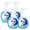 Walch Healthy Care Antibacterial Foam Hand Wash