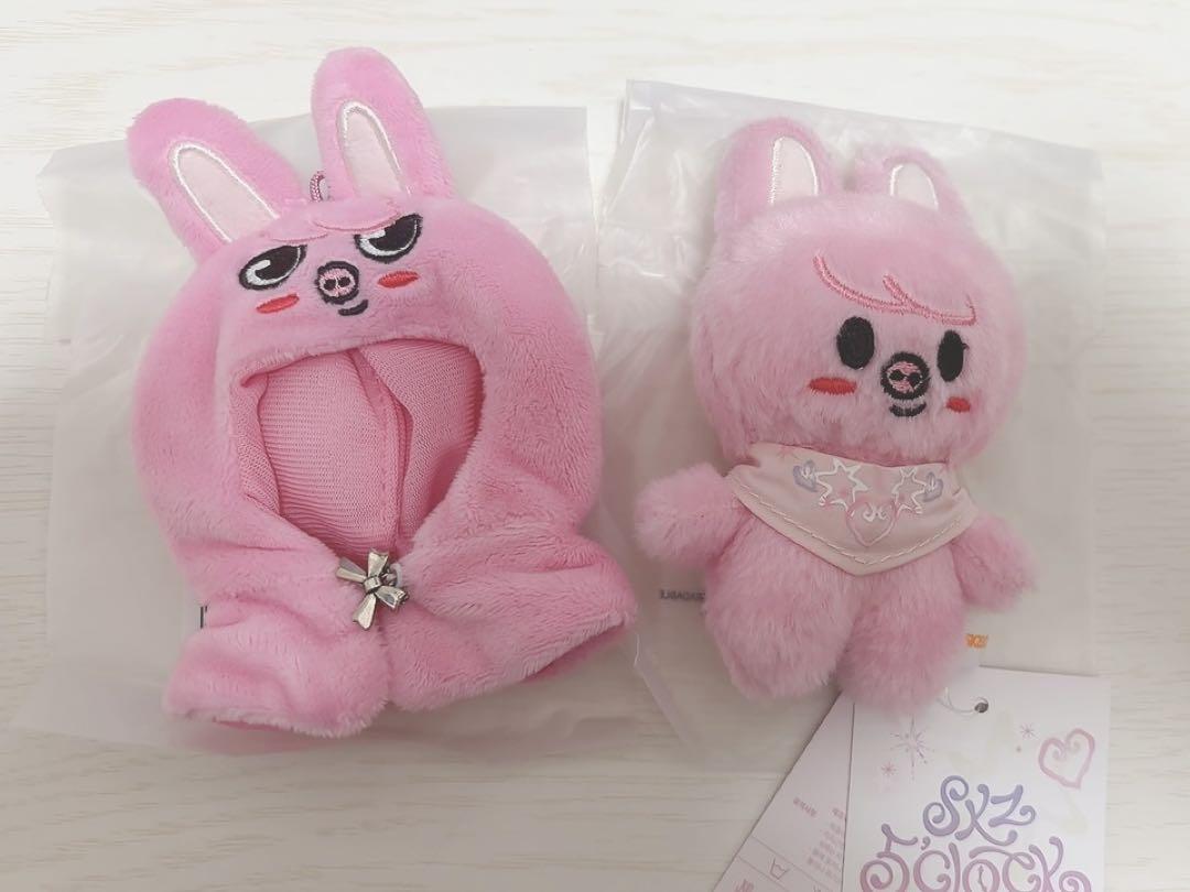 

[USED] SKZOO DWAEKKI PLUSH 10CM VER. Plush toys, etc.