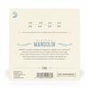 D'Addario Mandolin Strings, 80/20 Bronze Light, .010-.034, EJ62