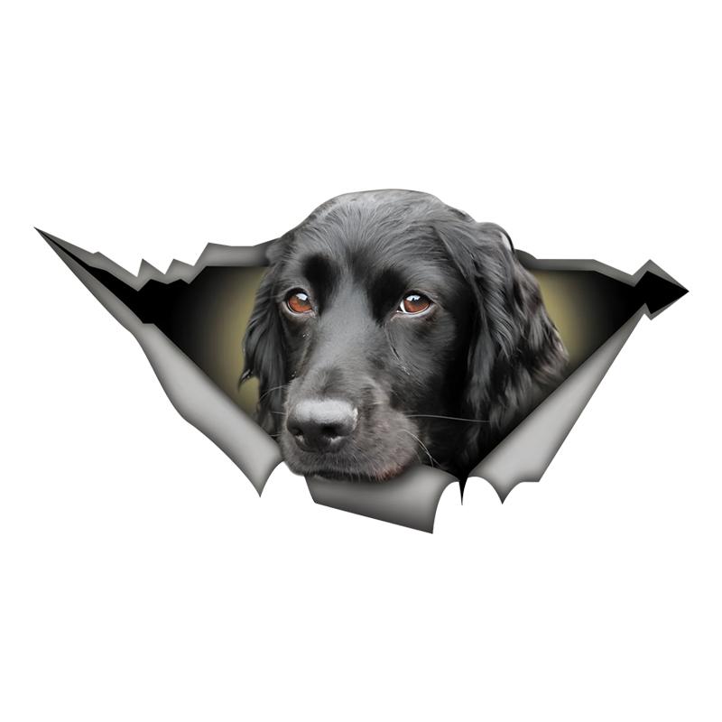 

Black Cocker Spaniel 3D Car Sticker, Fun Waterproof Sticker for Cars, Trucks, Motorcycles, Walls, Windows, PVC Material 30cm-Longest Side