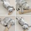 2 In 1 Cat Toy Pillow & Scratching Mat Interactive Cat Toys for Indoor Cats Kitten Play Calming Pet Gift