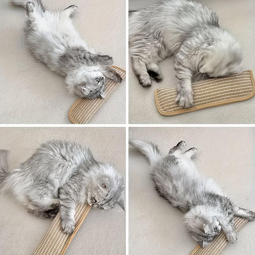 2 In 1 Cat Toy Pillow & Scratching Mat Interactive Cat Toys for Indoor Cats Kitten Play Calming Pet Gift