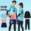 Sneldrogende Volleybal Jersey Set Unisex Lange Mouw Sportuniform Training Wedstrijd
