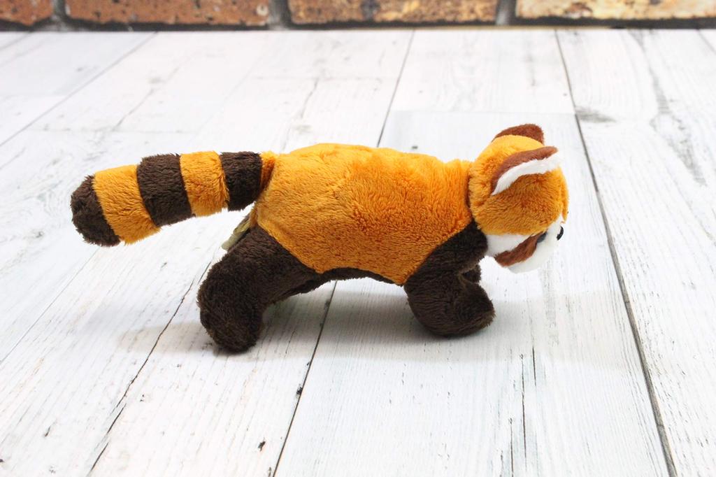 Safari Magnet Red Panda