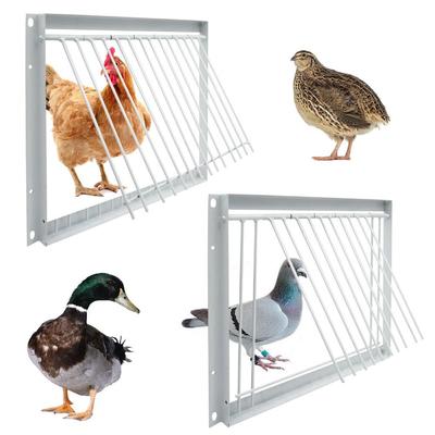 Porta d'ingresso rimovibile per piccioni Porta a battente singola Gabbia per cattura uccelli Porta per piccionaia Uccello