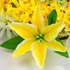Cemetery Wreath Artificial Memorial Wreath Plastic Loop Silk Cloth Flower 50cm Diameter