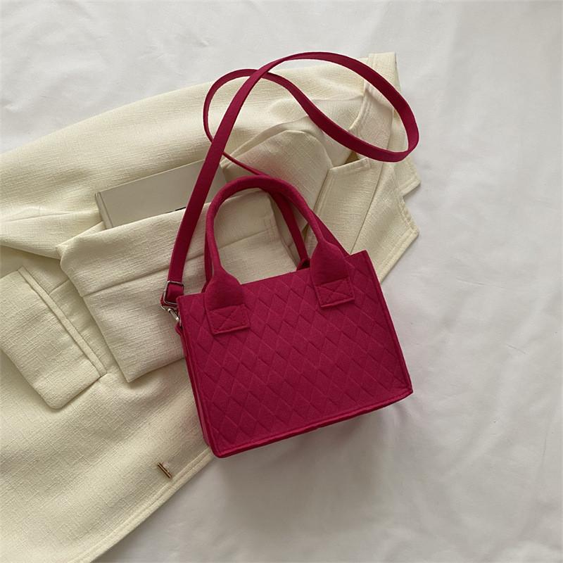 Fashionable Felt Handbag 2023 Spring Modern Women's Casual Crossbody Bag