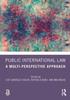 The Public International Law : A Multi-Perspective Approach Book