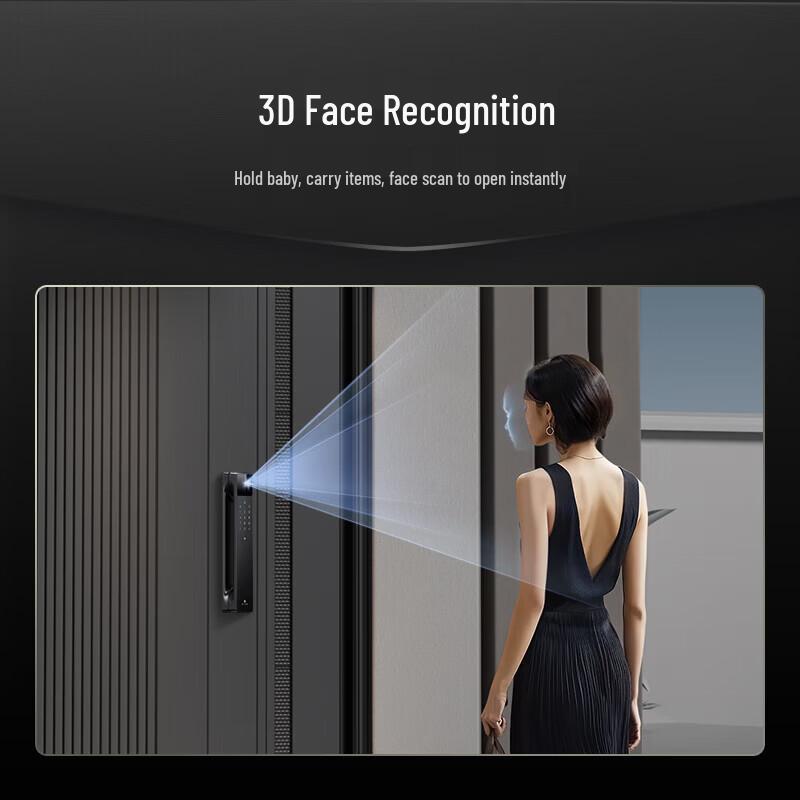 Desmann Q50FMAX Face Recognition Smart Door Lock