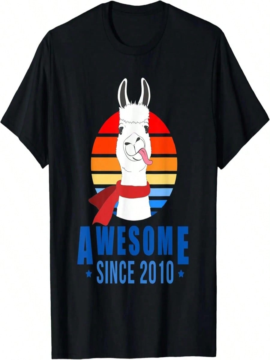13 Years Old Llama Awesome Since 2010 13th Birthday Retro T-Shirt S