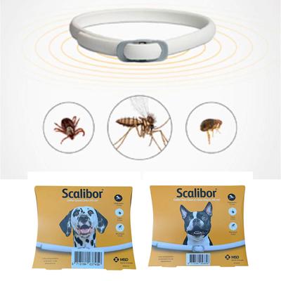 12 Měsíců, , - antiparazitní obojek, - blecha, - klíště, Leishmanióza, Pro malé a střední psy