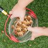Nut Gatherer Adjustable Lightweight Rolling Nut Picker Collector for Lawn Garden