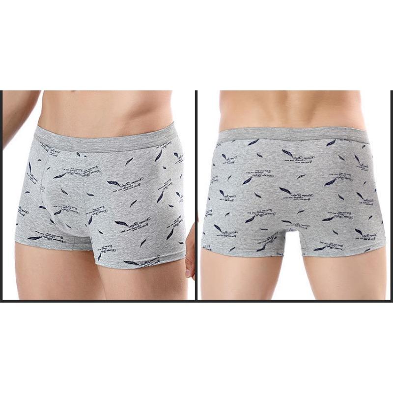 Printed Cotton Mens 3d Boxer Briefs