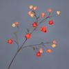 Long Branches Artificial Lantern Fruits Bouquets Red Plastic Fake Flower  Home Vase Decor