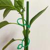Plant Support Clips for Climbing Plants Reusable Gentle Plant Ties Garden Vine Support Clips for Indoor Outdoor Gardening or Plant Organization