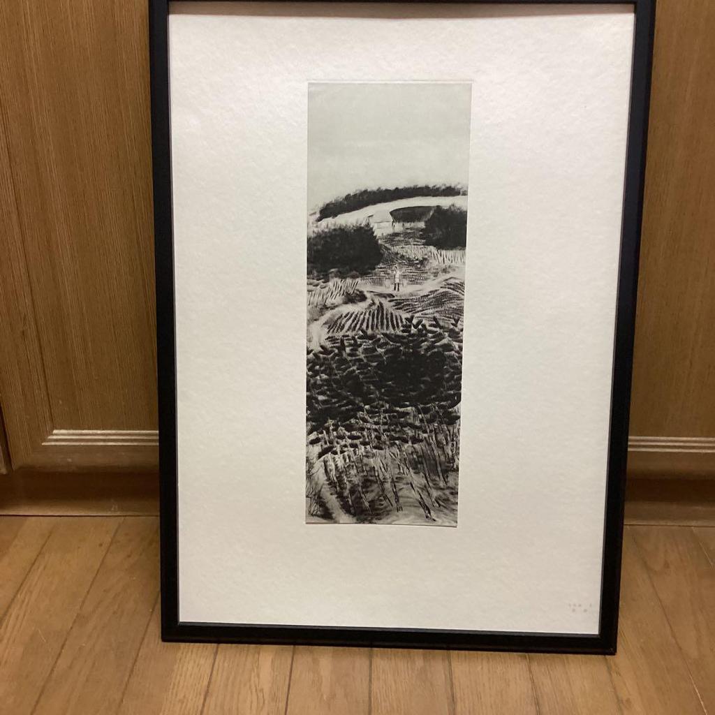 [USED] Genius Painter Hayami Gyoshu: From the Collection of Masterpieces, Supervised by Benrido, Art Collection No. 5, Twilight