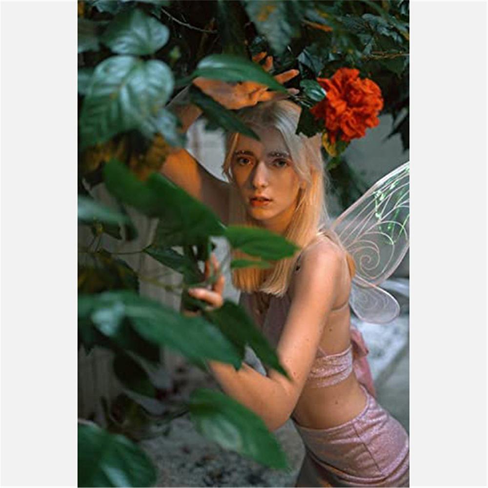 Sparkle Fairy Wings Halloween Costume Butterfly Wings with Flower Crown & Elf Ears  Party Favor