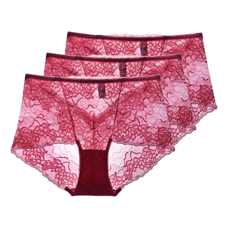3 Pezzi Lingerie Sexy da Donna Vita Alta Slip in Pizzo Rete Trasparente Boyshorts Slip da Donna