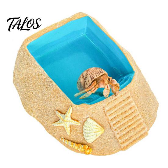 Aquarium Decor for Reptiles Beach Pool Hermit Crab Habitat Ornament with Climbing Ramp & Starfish Shell Reptile Water Basin Conch Decor, Decoration