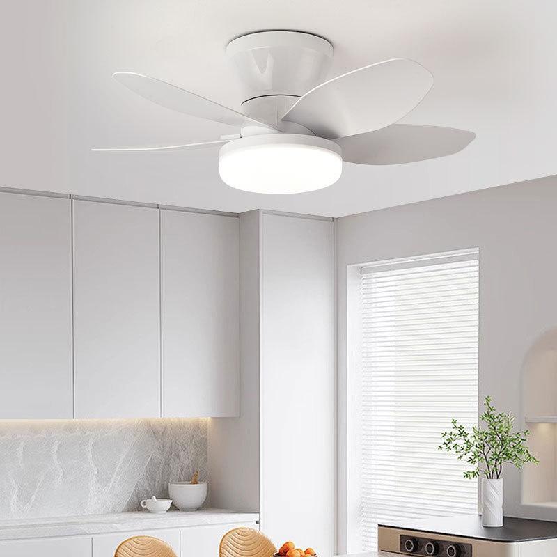 Household Bedroom Electric Ceiling Fan Light Quiet Frequency Conversion Ceiling Fan Lamp Living Room LED Lighting Fan