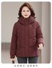 Women’s Short Detachable Hood Windproof Thicken Warm Winter Jacket
