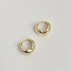 Oval Earrings with Silver Hooks and Clasps, Women's Simple and Niche Electroplated Gold Style