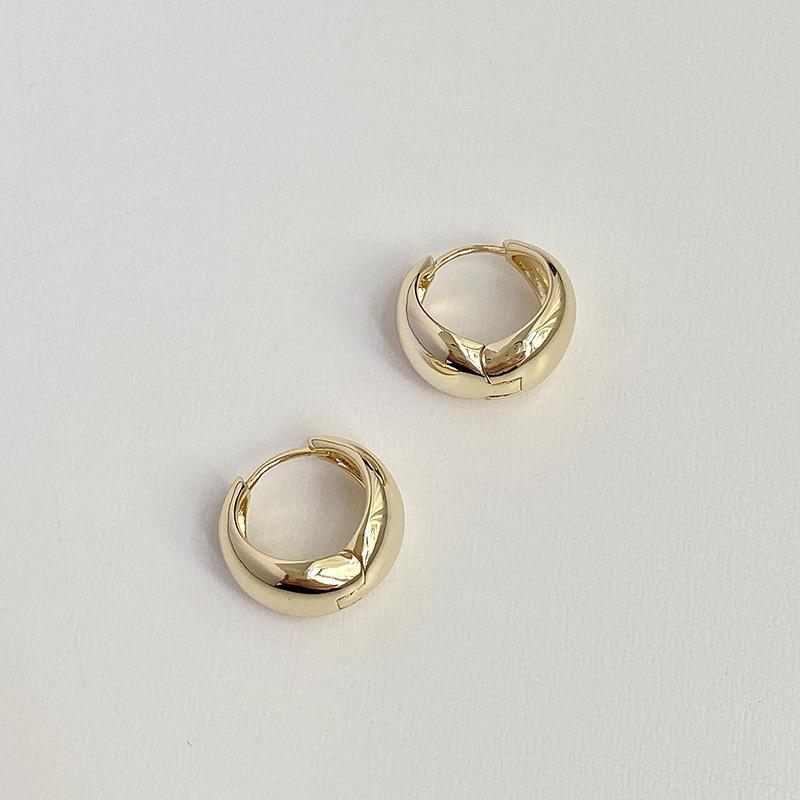 Oval Earrings with Silver Hooks and Clasps, Women's Simple and Niche Electroplated Gold Style
