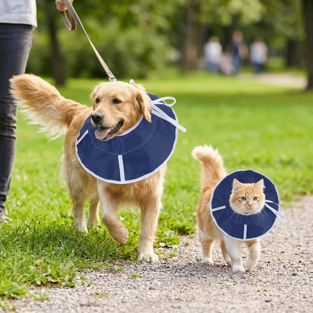 Adjustable Fit Pet Recovery Ring Flexible Surface Anti Lick Shield Elizabethan Collar Pet Recovery S