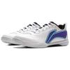 Li Ning Abrasion Resistant Support Casual Scenario Low top Table Tennis Shoes Unisex APPV003-5