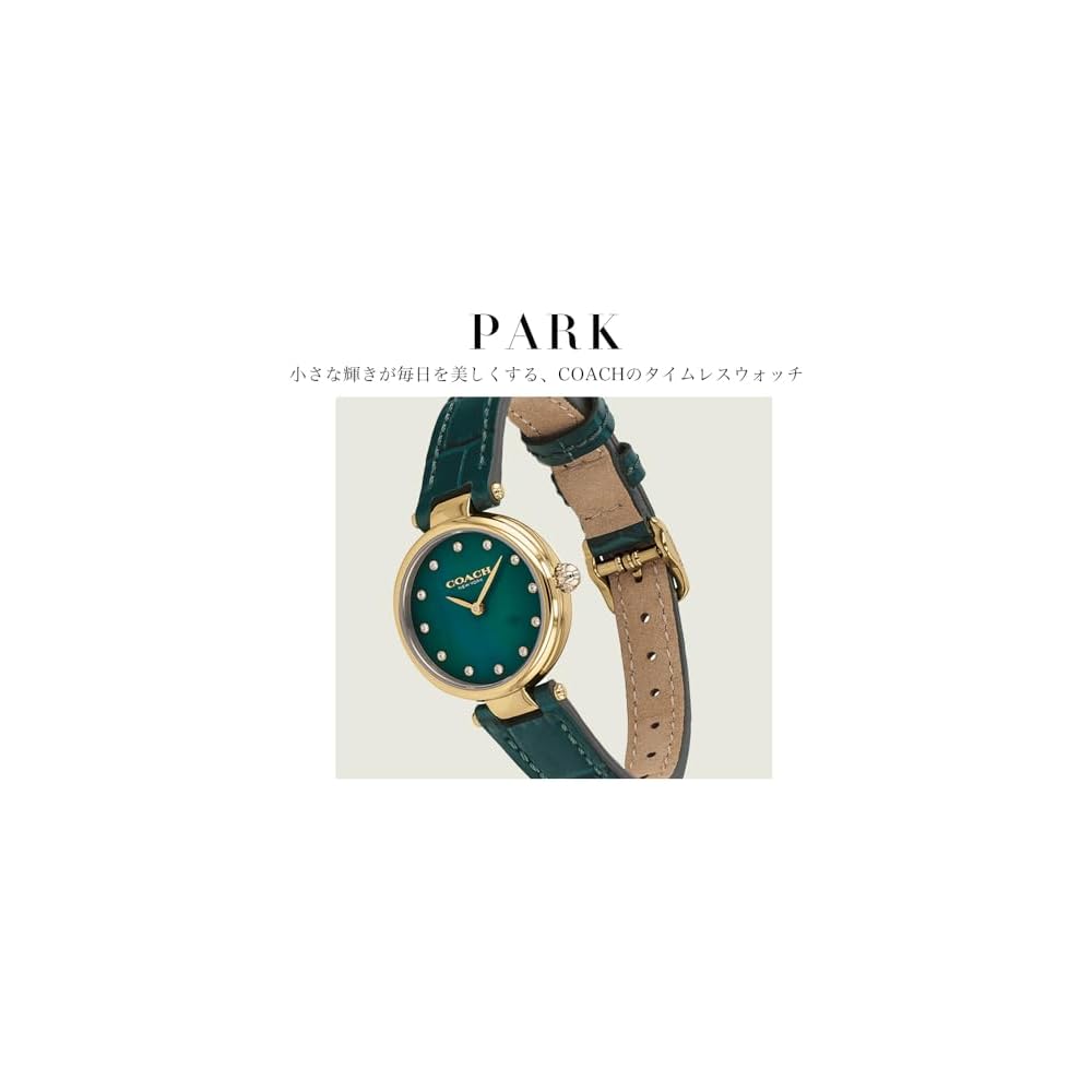 Coach Park Women's Watch Dark Green Dial Dark Green Leather Strap 14503534