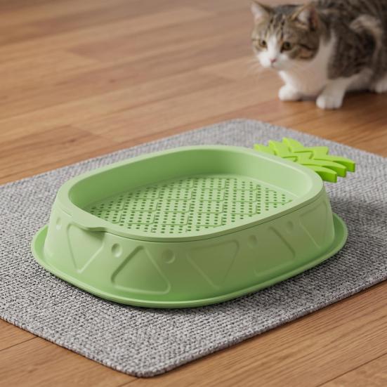 Hydroponic Cat Grass Growing Kit for Indoor Cats Soil Free Wheatgrass Planter with 5 Pack Seeds for Hairball Control