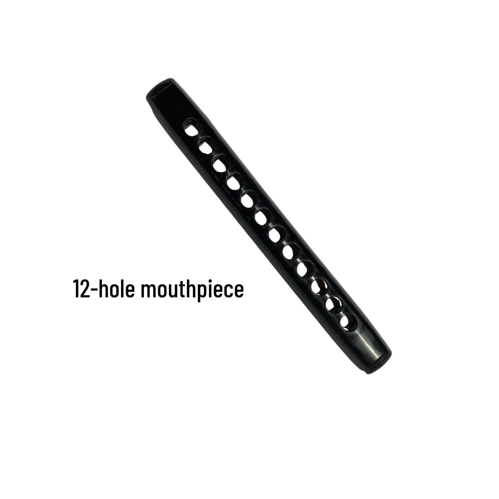 Beginner Chromatic Harmonica with Detachable Round Mouthpiece, 12 or 14-Hole C Major