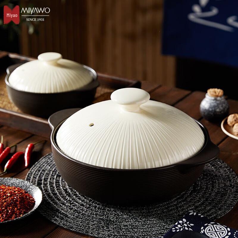 MIYAWO Imported High-Temperature Clay Pot