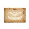 Translucent Window Decal Ornamental Pattern Privacy Sticker Peel and Stained Glass Cling for