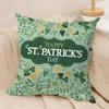 St Patricks Day Cute Cushion Cover Soft Plush Throw Pillow Cover  DoubleSided Printed Cushion Case  Cozy Sofa  Home Decor