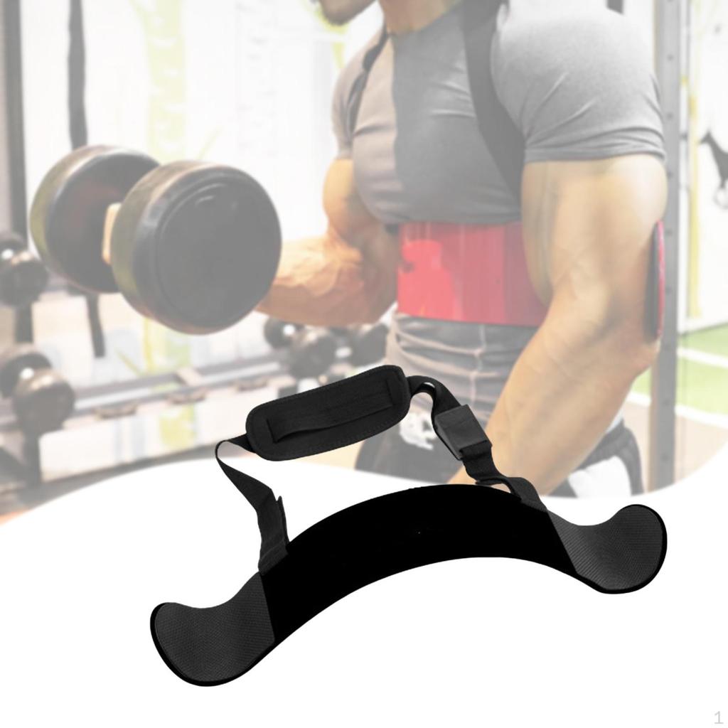 Arm And Bicep Workout Equipment, Heavy Duty, Home Gym, Curved Design,