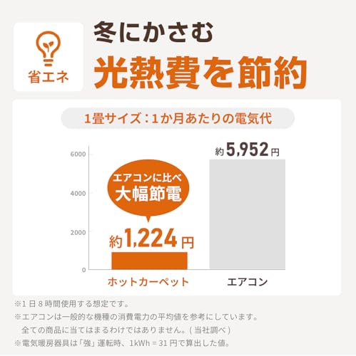 Freedom Hot Carpet, 1 Tatami Mat Size (125 x 125 cm), Ideal for Single Living or Children's Rooms, Temperature Control, Dust Mite Removal, Foldable, E